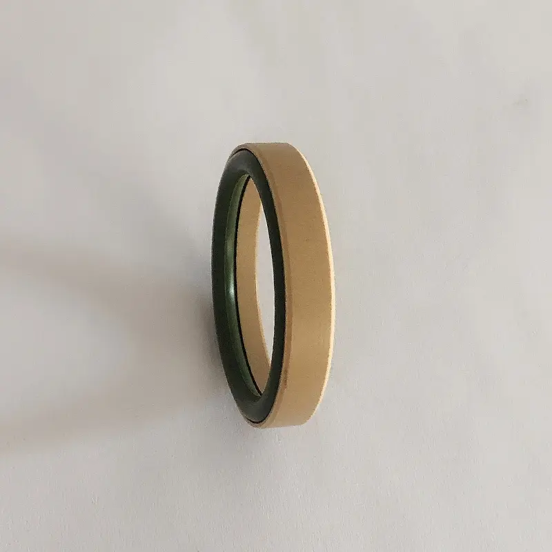 High Pressure Seals For Piston Holes High Pressure Seals For Piston Holes