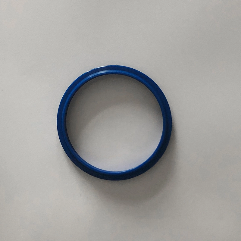 Hydraulic Dust Seals