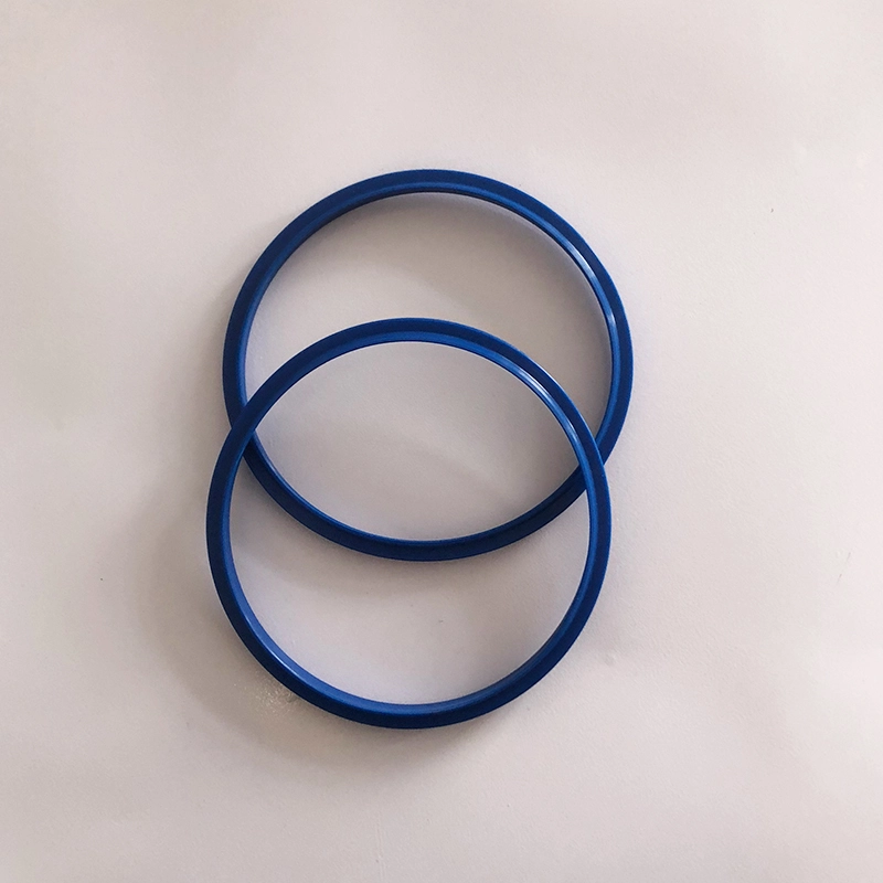 Hydraulic Dust Seals