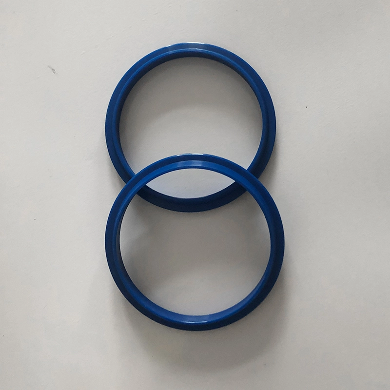 Hydraulic Dust Seals