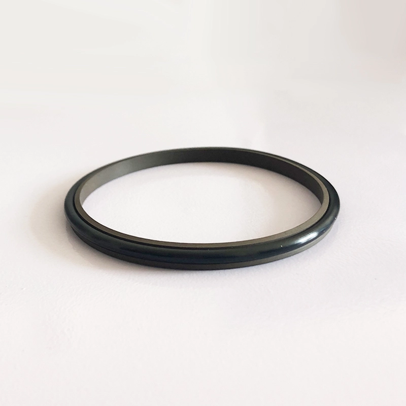 Hydraulic Dust Seals