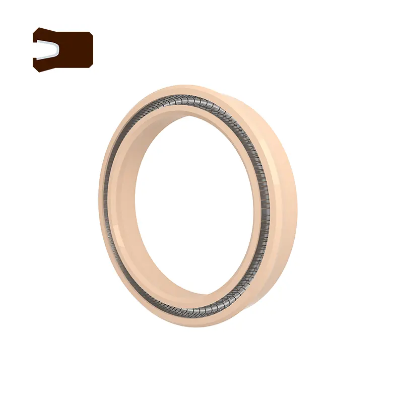 SEALS RADIAL Spring được cung cấp năng lượng